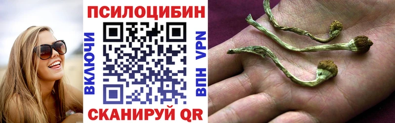 Галлюциногенные грибы GOLDEN TEACHER  Прохладный 